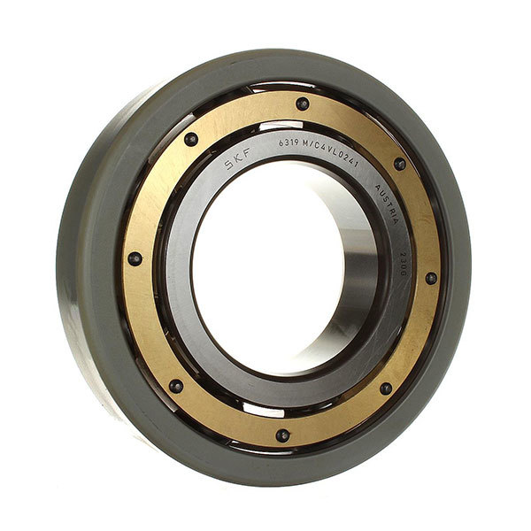 SKF Traction Motor Drive System Bearings-2